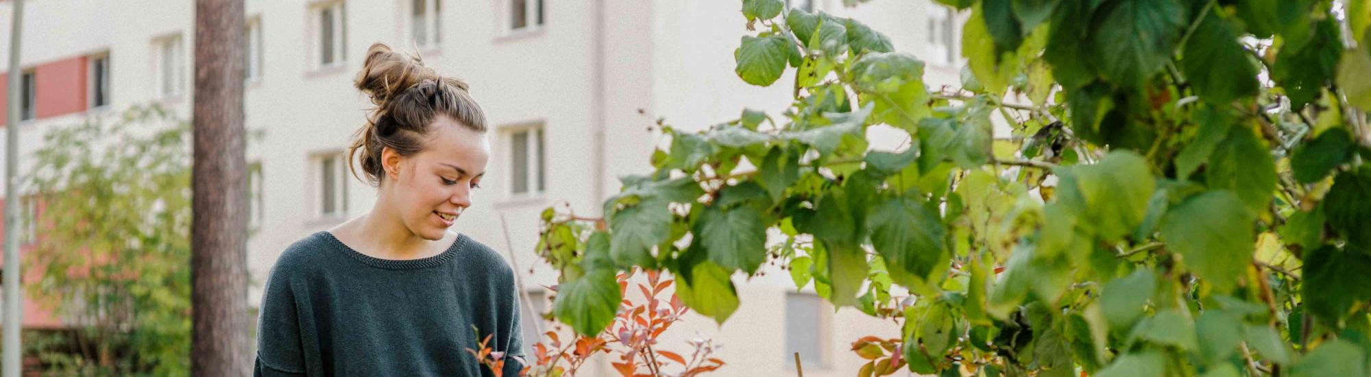 A woman is tending a garden.