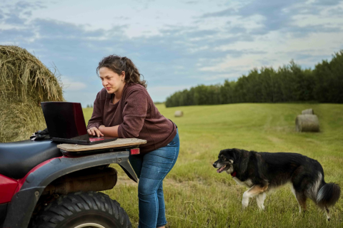 A woman is in a field looking at her laptop.