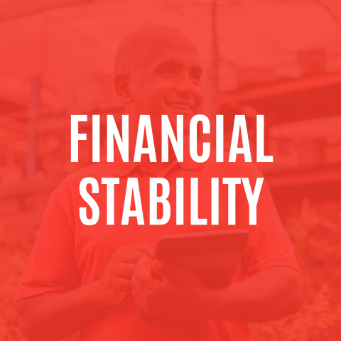 Financial Stability